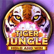 Dịch vụ chăm sóc khách hàng 24/7 Win5506