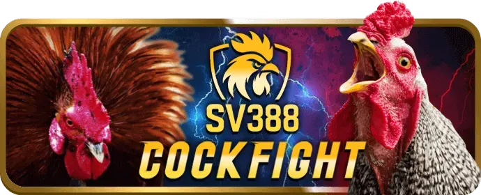 Ví điện tử phổ biến tại Win5506